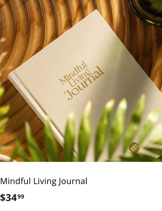 A Mindful Living Journal book displayed on a woven surface next to a potted green plant.