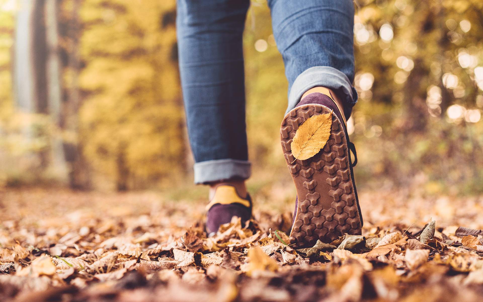 How Walking In the Woods Helped Ease My Anxiety -Autumn concept, close up of shoe sole with yellow leaf on it