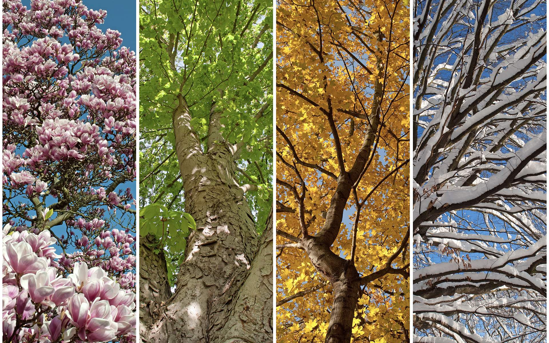 A Year of Self-Care Practices to Help You Grow