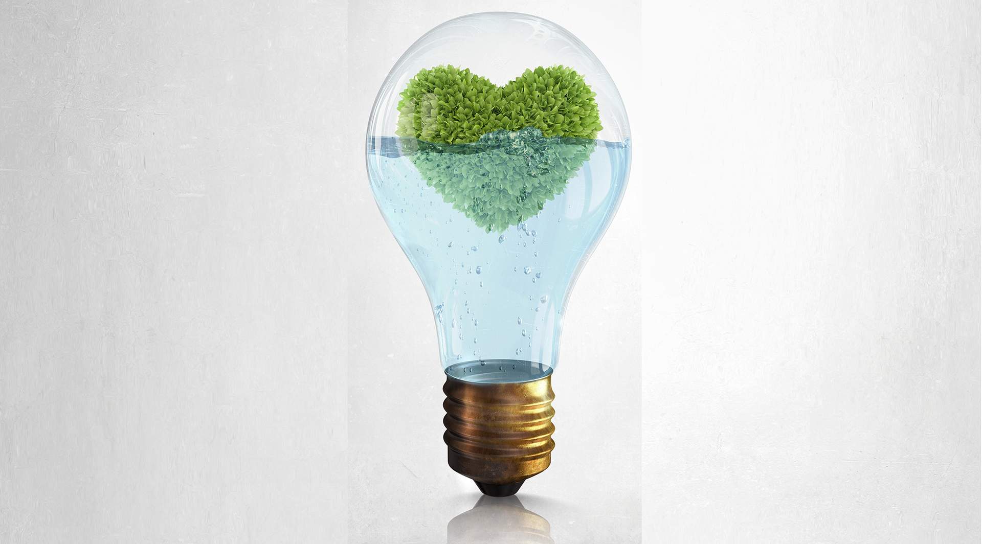 Noticing What's Alive for You Right Now - Glass lightbulb with water and love shaped green tree inside